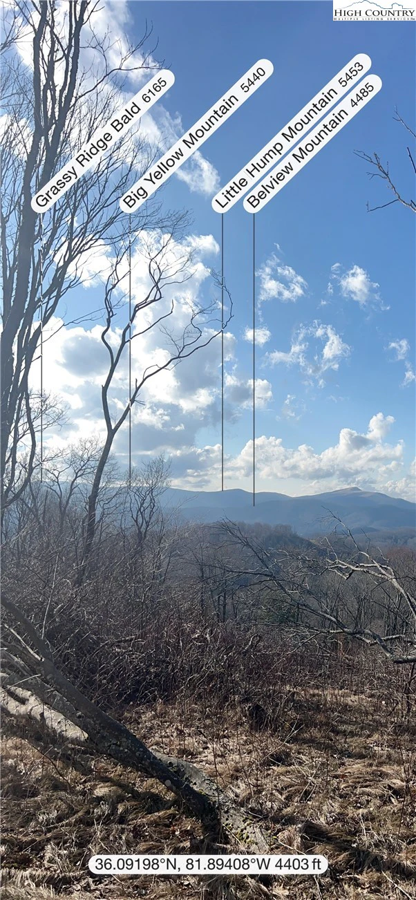 Image number 12 for the current listing