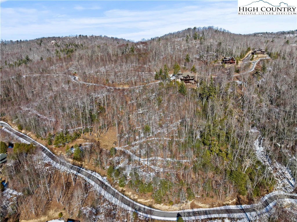 Image number 1 for the current listing