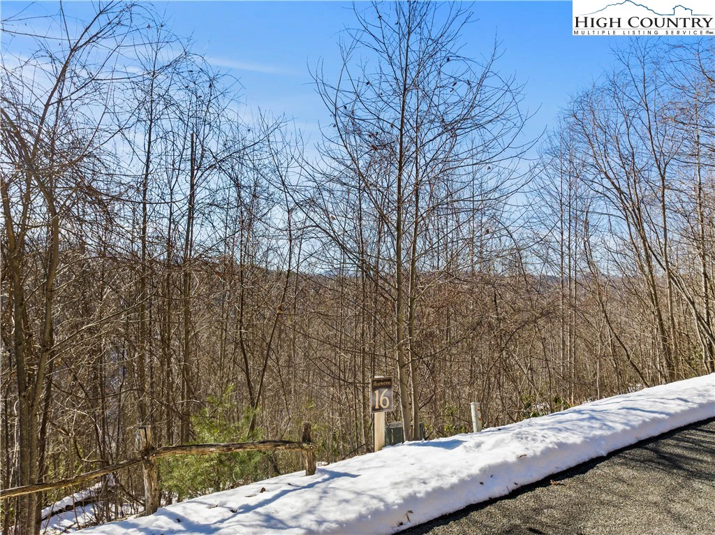 Image number 3 for the current listing