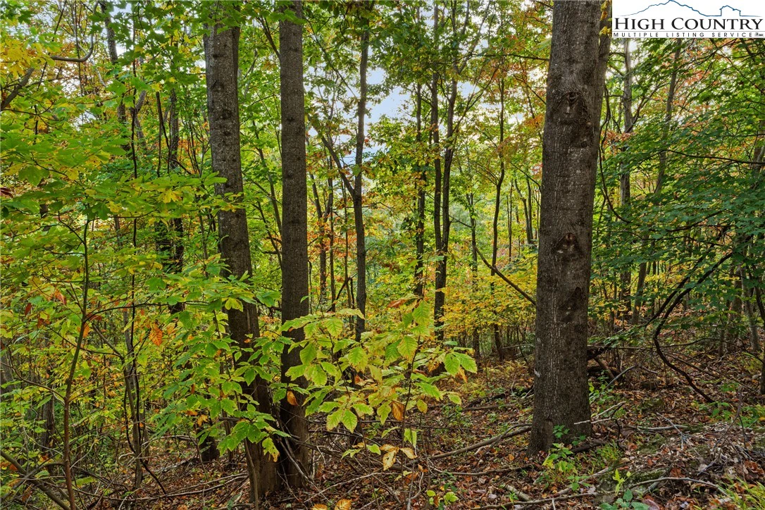 Image number 3 for the current listing
