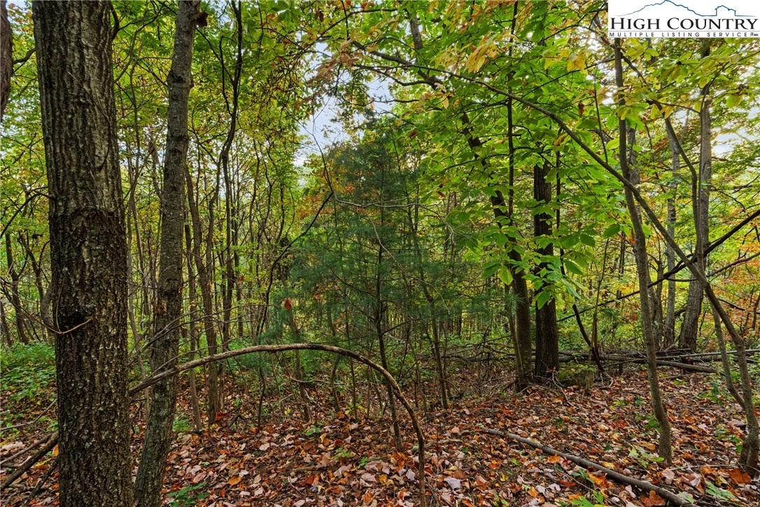 Image number 5 for the current listing