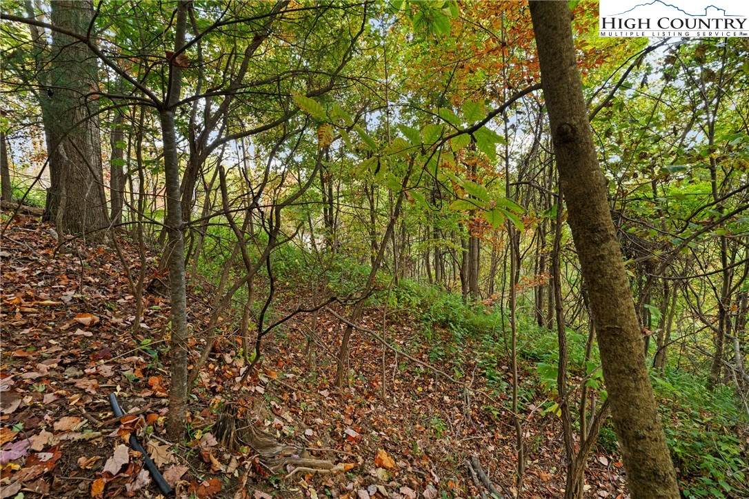 Image number 6 for the current listing