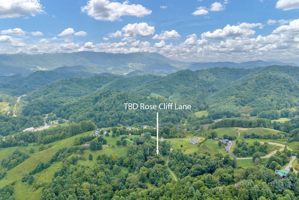 Image number 1 for the current listing