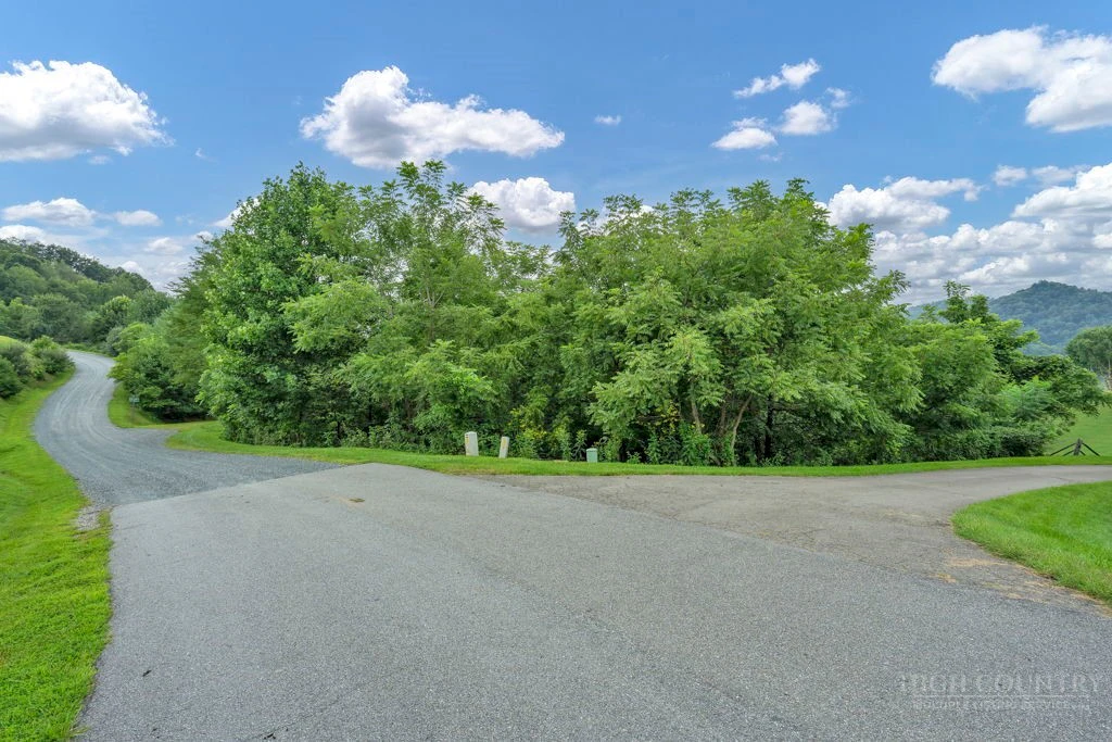 Image number 2 for the current listing