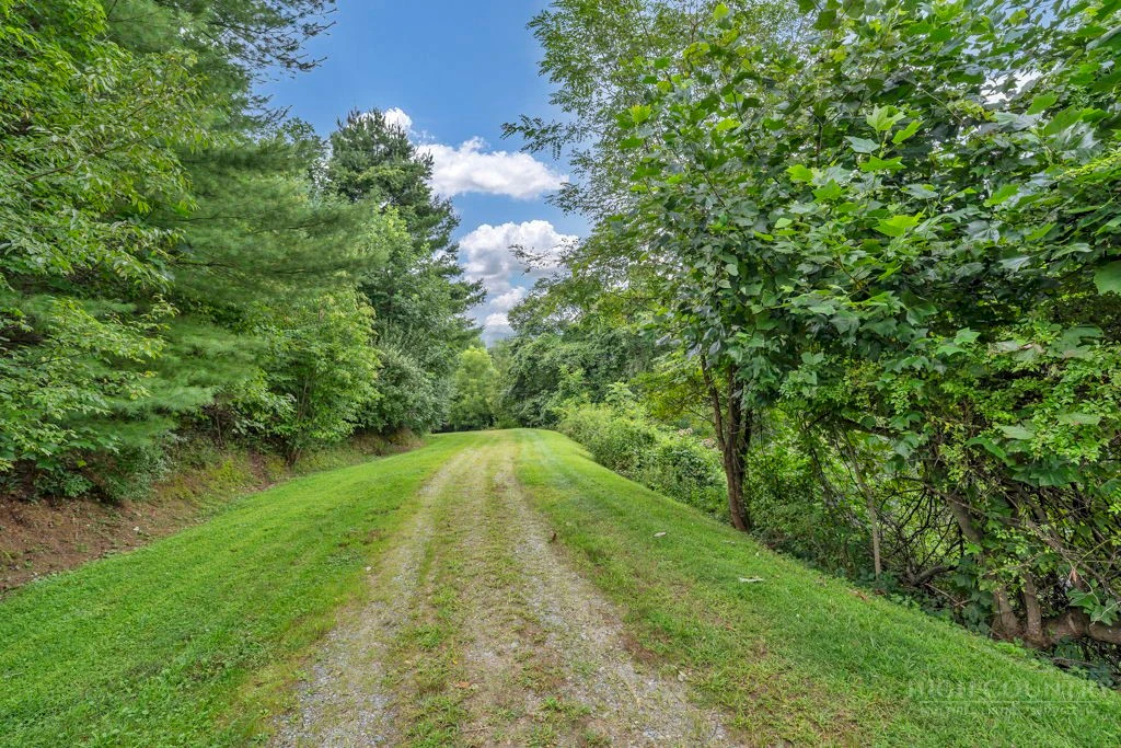 Image number 4 for the current listing