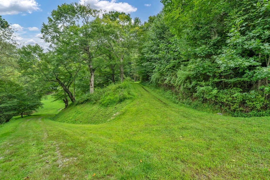 Image number 5 for the current listing