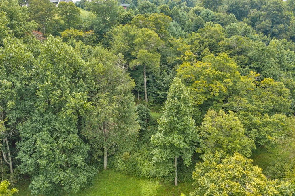 Image number 10 for the current listing
