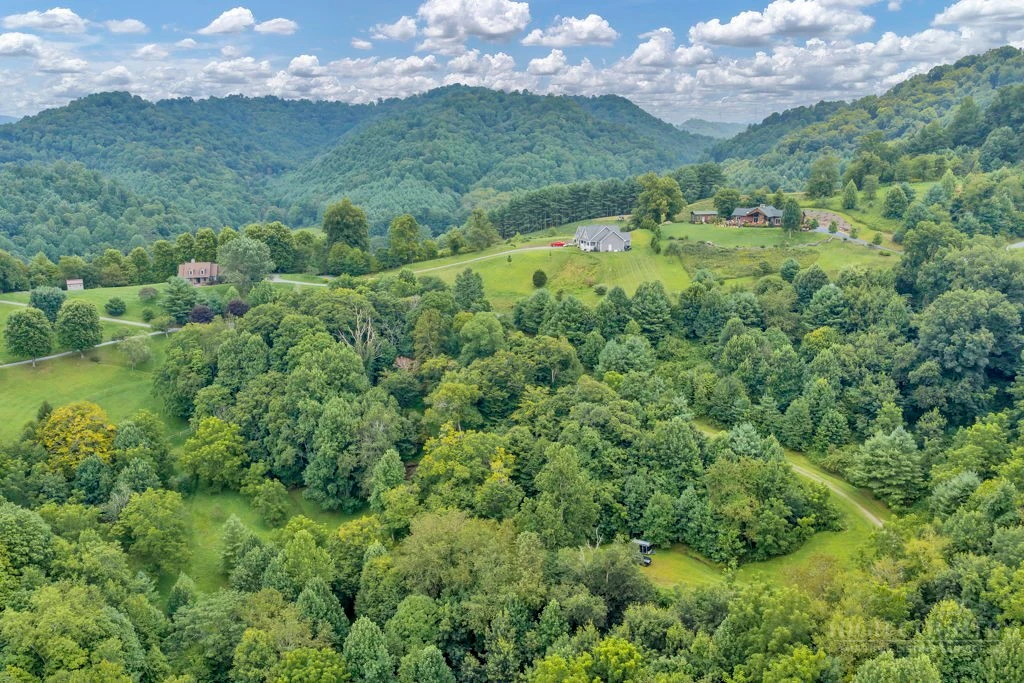Image number 11 for the current listing