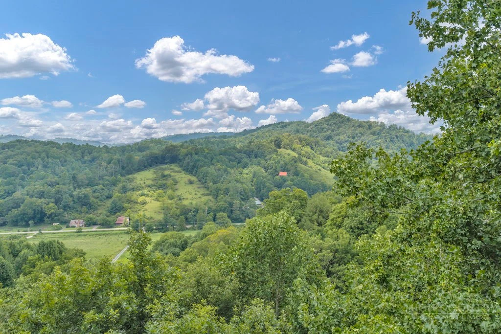 Image number 13 for the current listing
