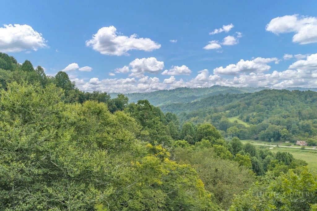 Image number 14 for the current listing
