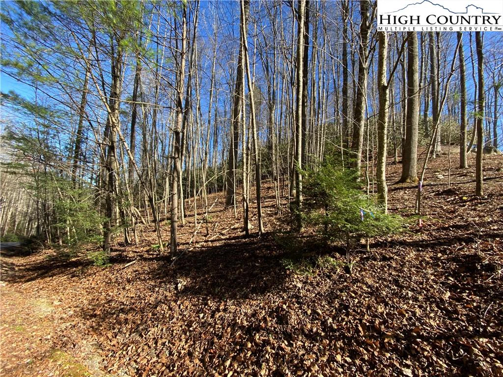 Image number 1 for the current listing