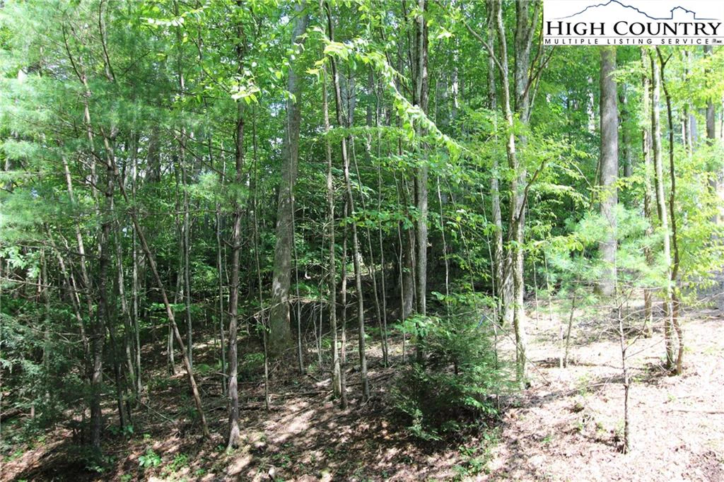 Image number 3 for the current listing