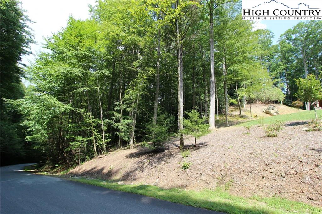 Image number 7 for the current listing