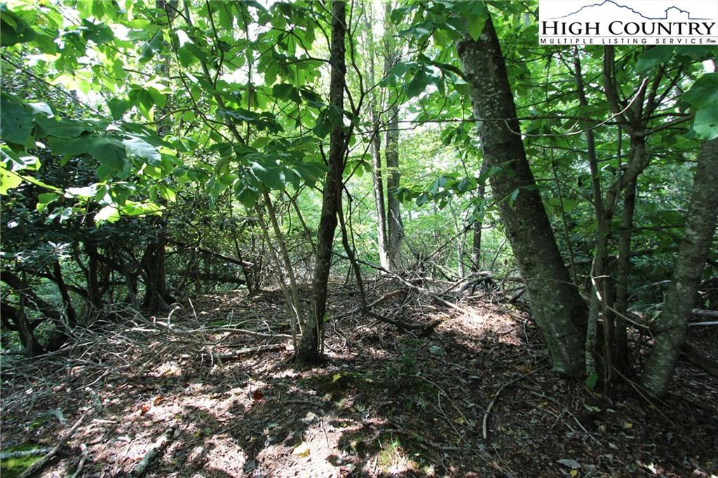 Image number 8 for the current listing