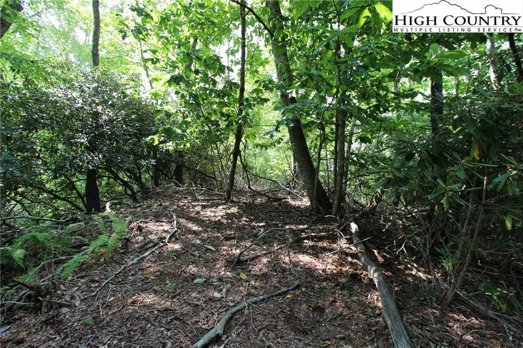 Image number 9 for the current listing