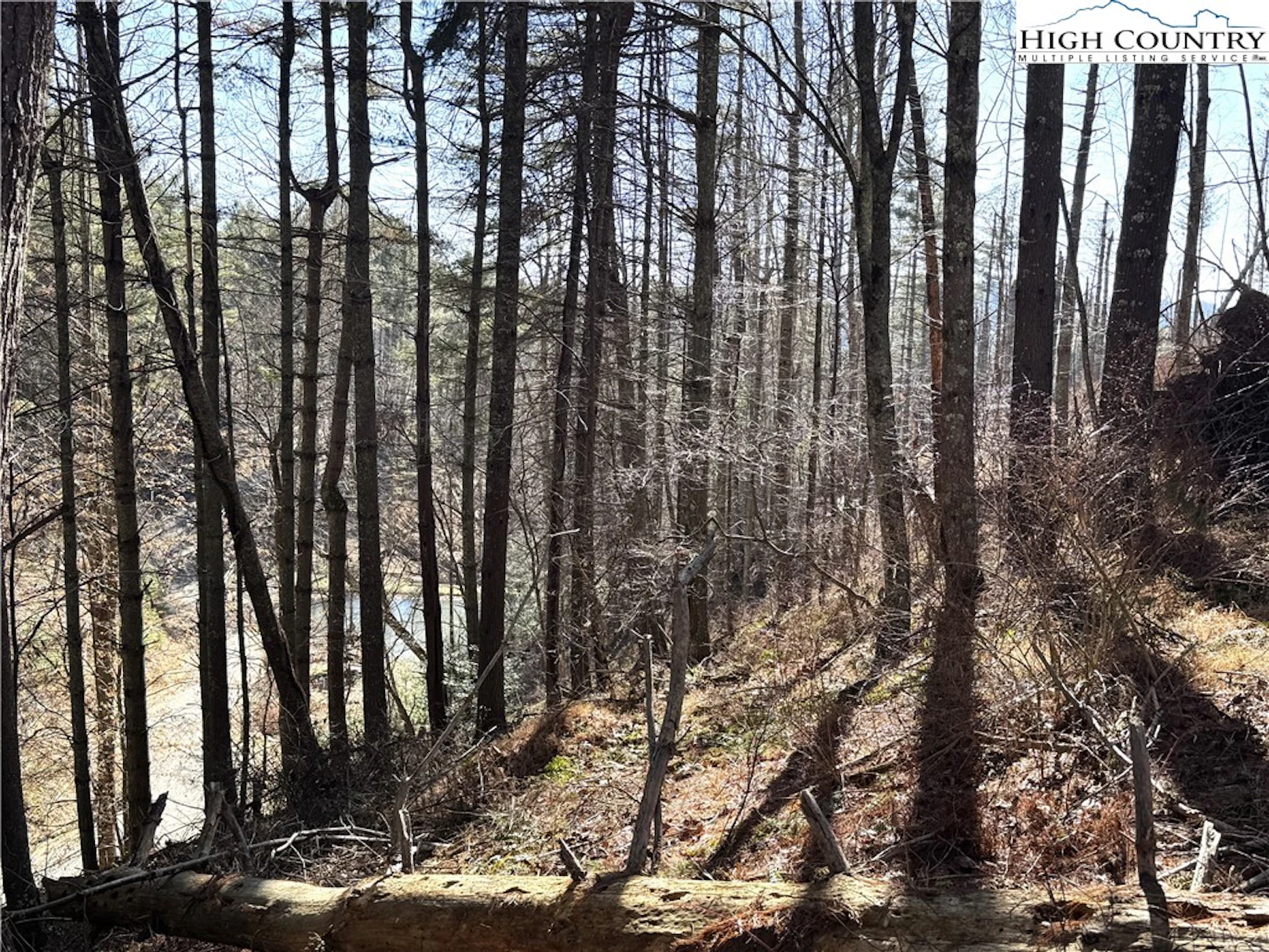 Image number 1 for the current listing
