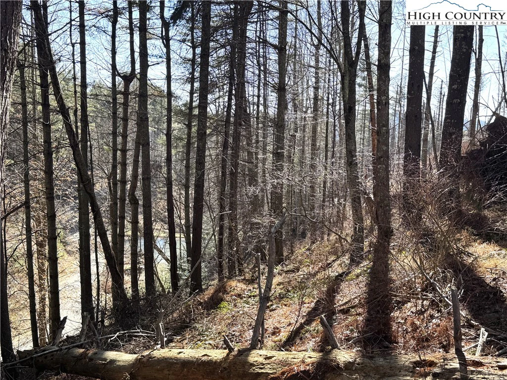 Image number 1 for the current listing