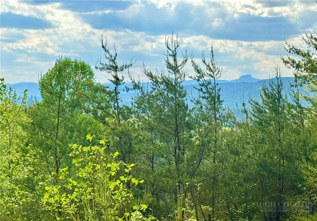 Image number 6 for the current listing