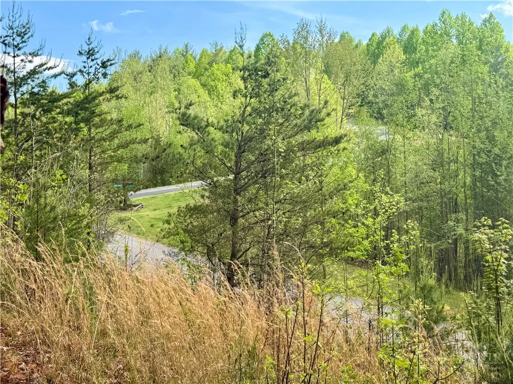 Image number 5 for the current listing