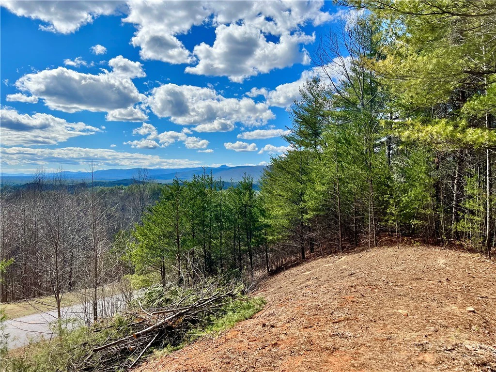 Image number 1 for the current listing