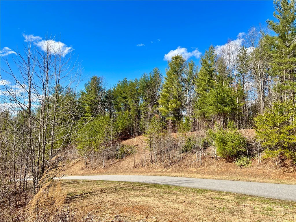 Image number 7 for the current listing