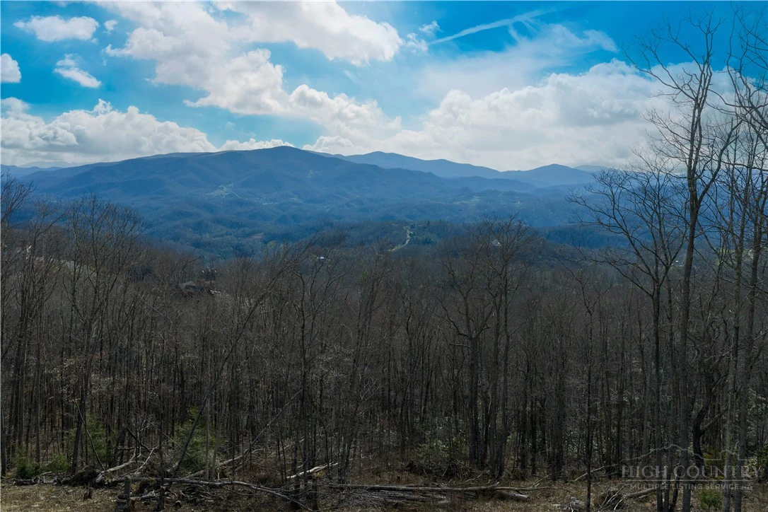 Image number 3 for the current listing