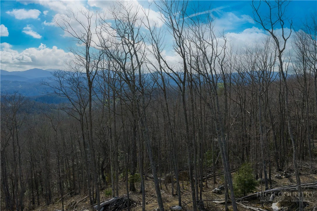 Image number 16 for the current listing