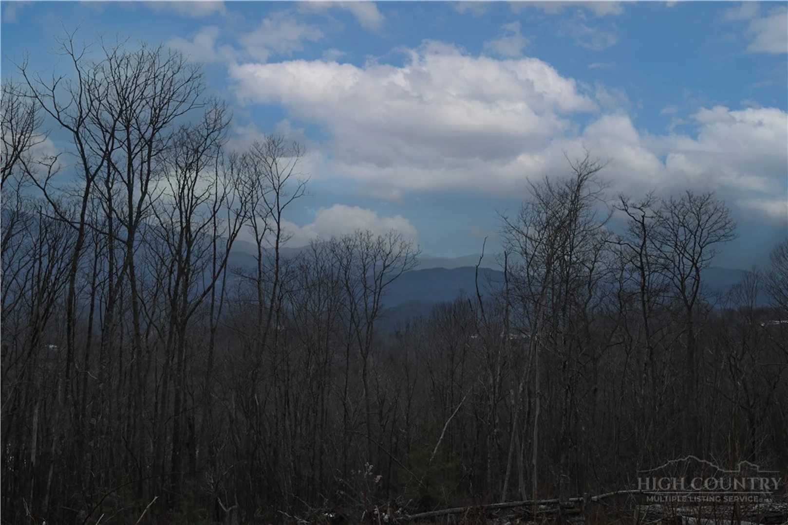 Image number 21 for the current listing