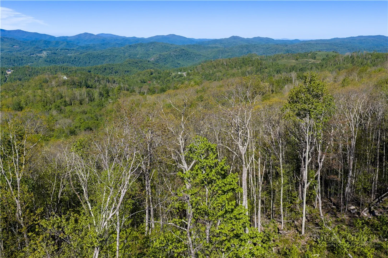 Image number 1 for the current listing