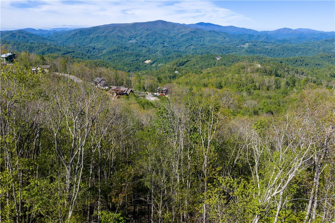 Image number 3 for the current listing