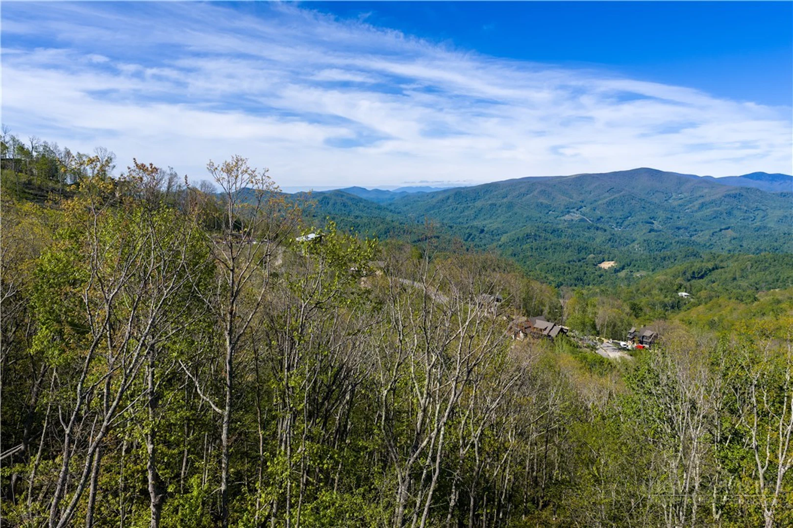 Image number 5 for the current listing