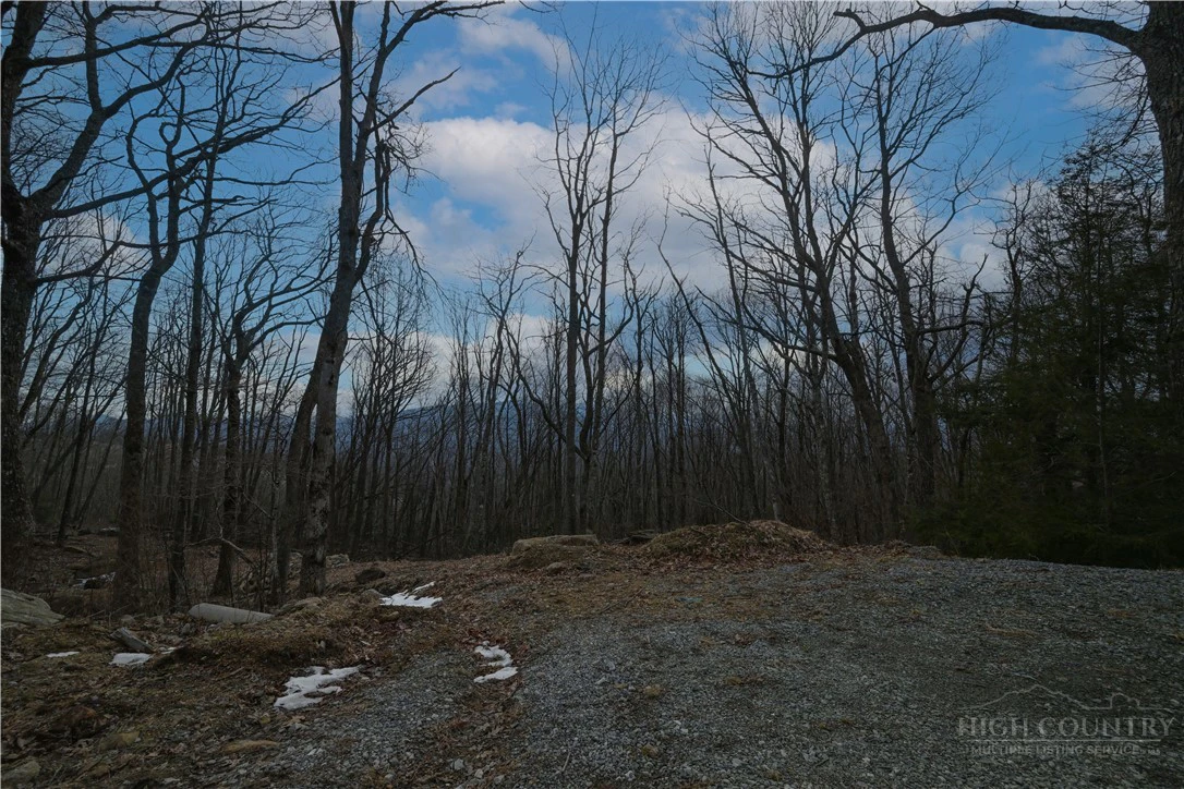 Image number 18 for the current listing