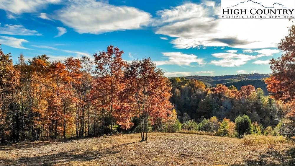 Image number 1 for the current listing