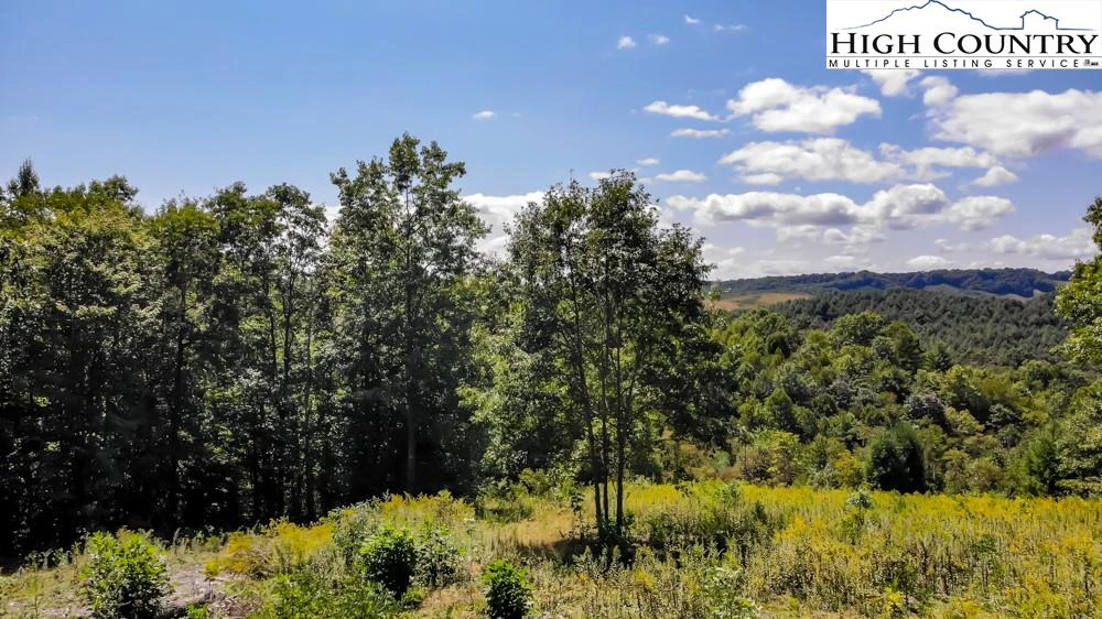 Image number 14 for the current listing