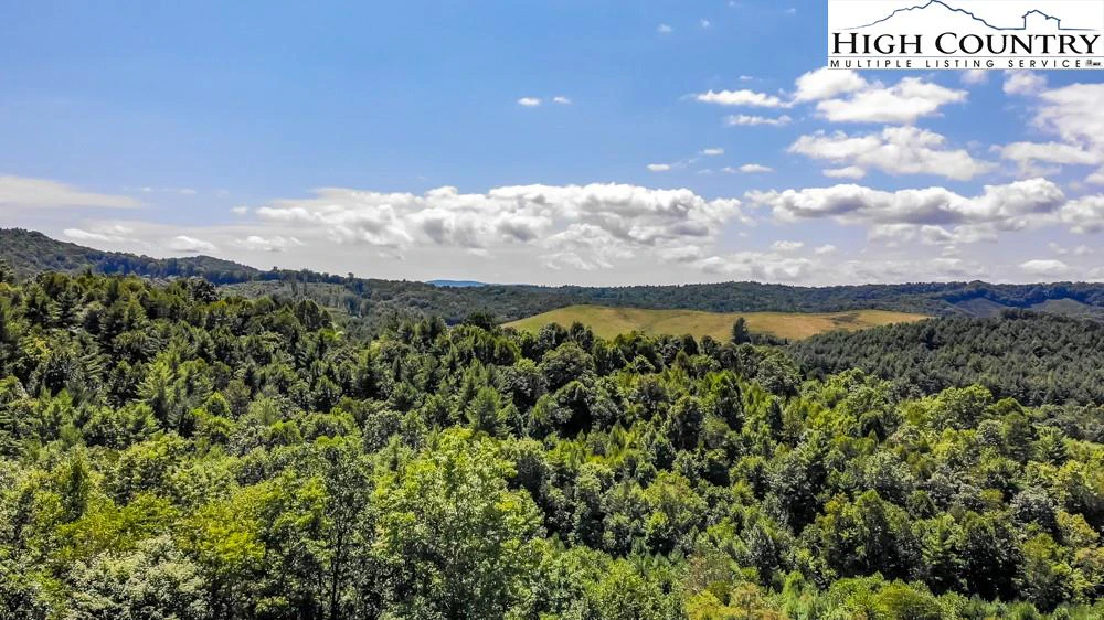 Image number 12 for the current listing