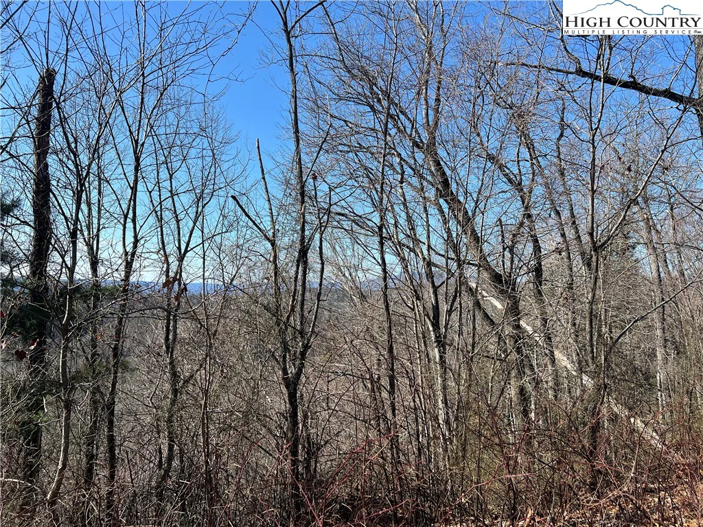 Image number 16 for the current listing