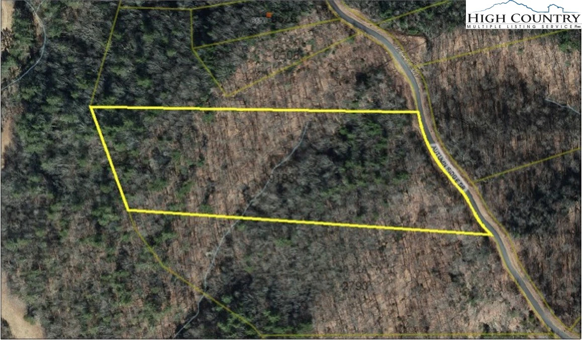 Image number 14 for the current listing