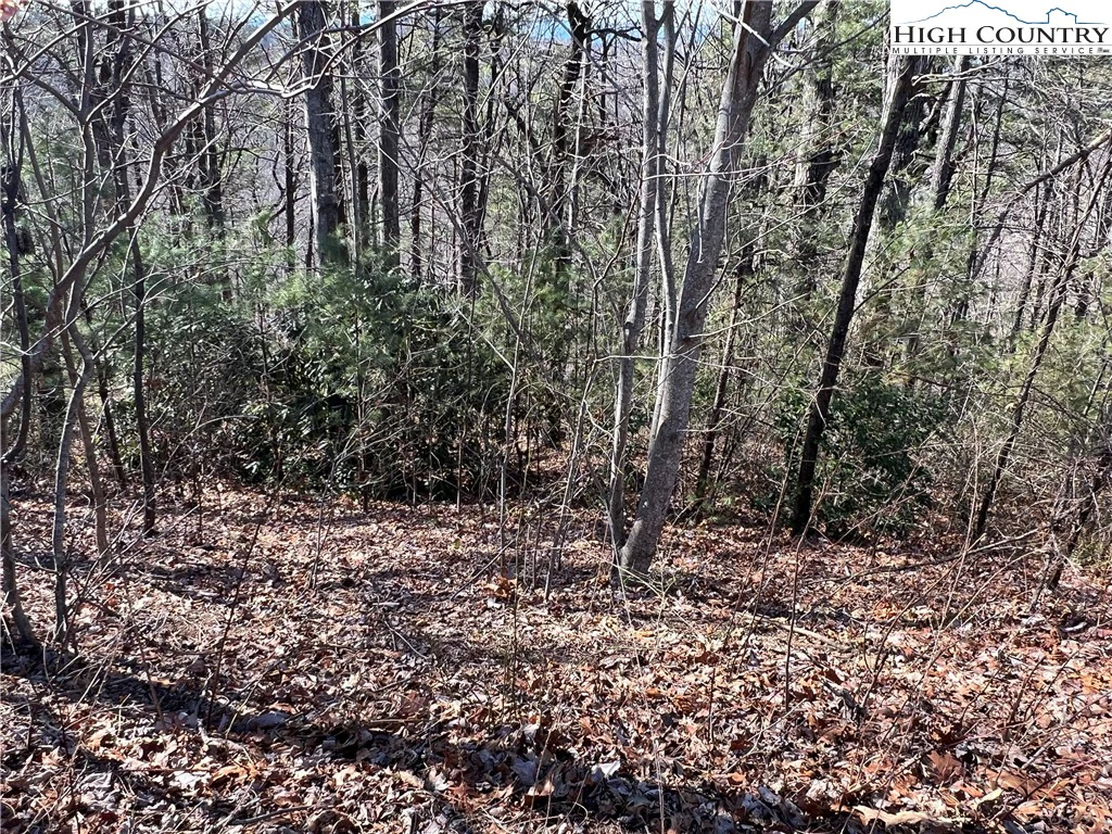 Image number 9 for the current listing