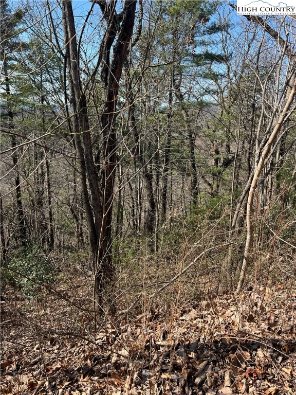 Image number 6 for the current listing