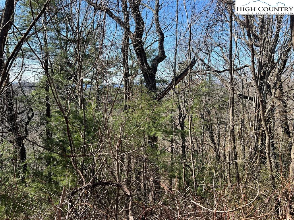 Image number 4 for the current listing