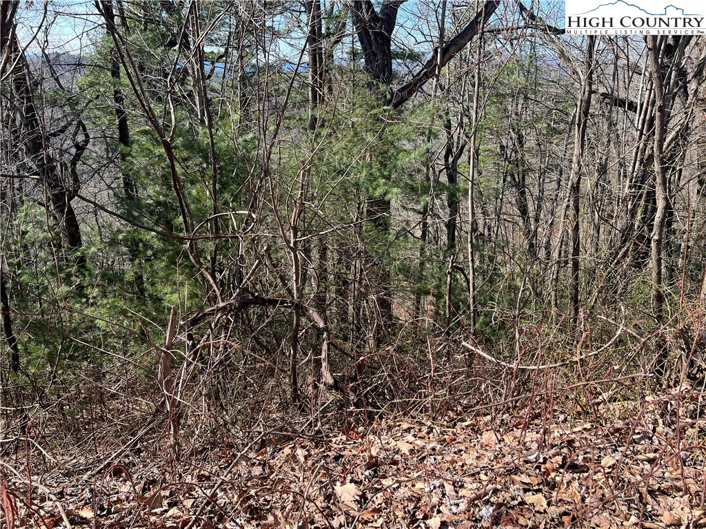 Image number 3 for the current listing