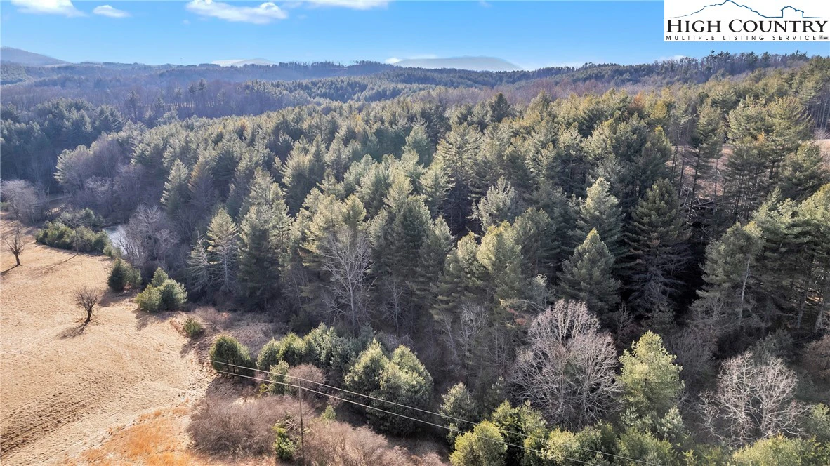 Image number 6 for the current listing