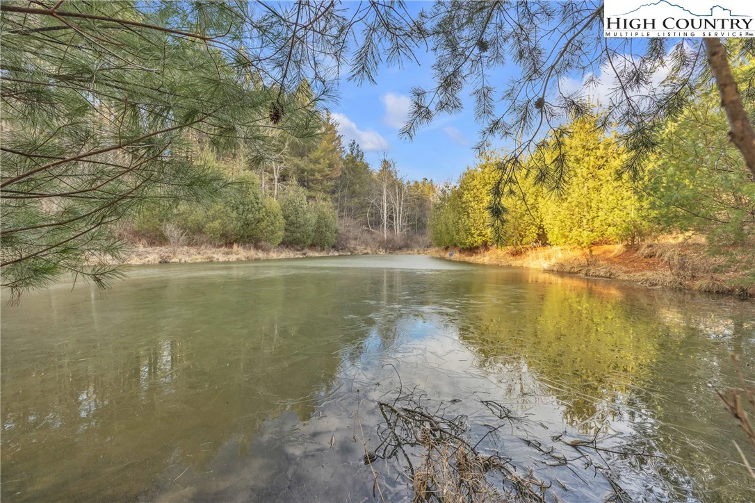 Image number 3 for the current listing