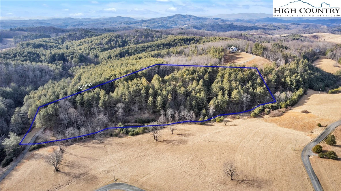 Image number 1 for the current listing