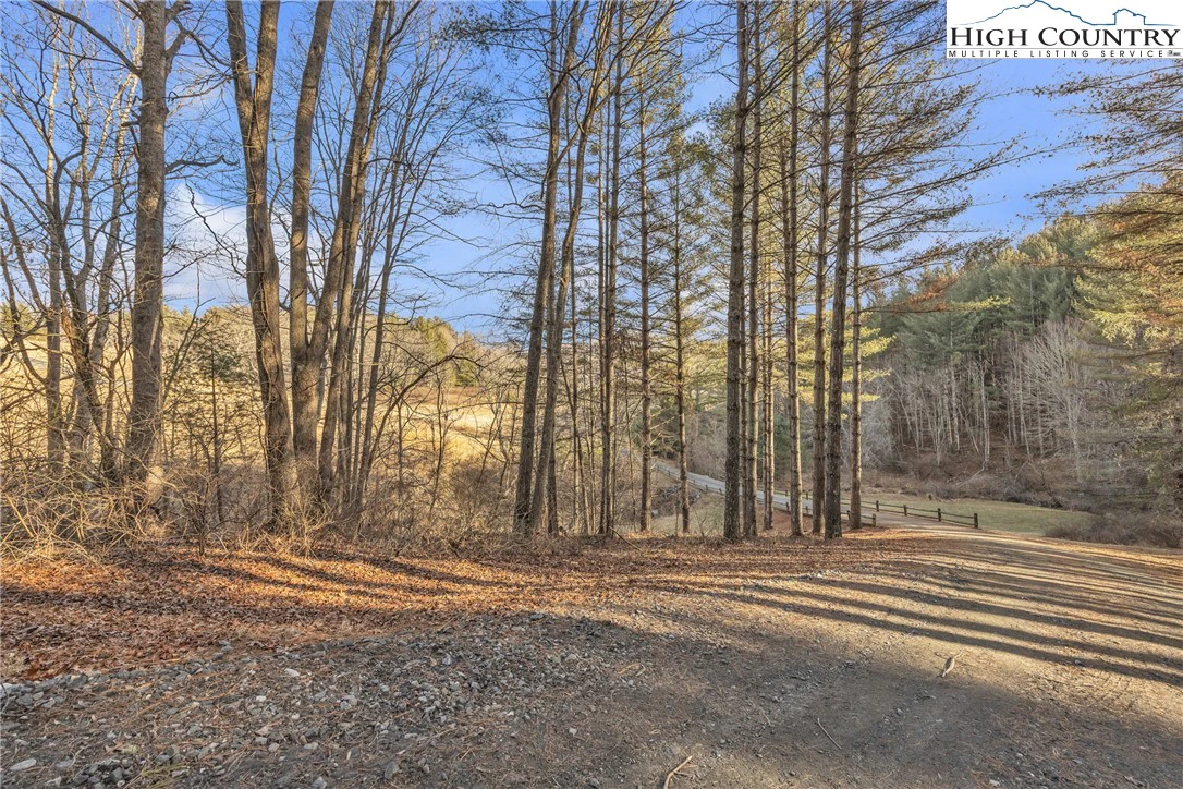 Image number 21 for the current listing