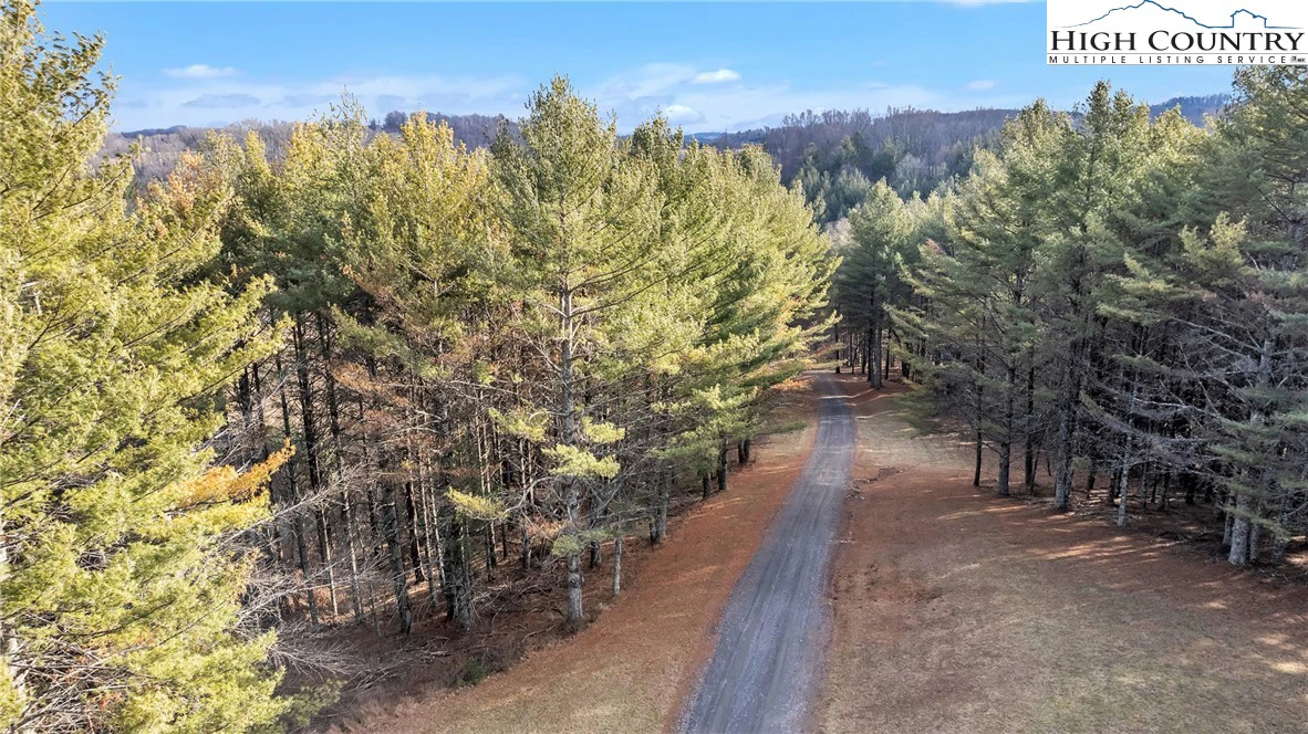 Image number 2 for the current listing