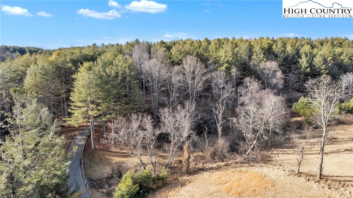 Image number 13 for the current listing