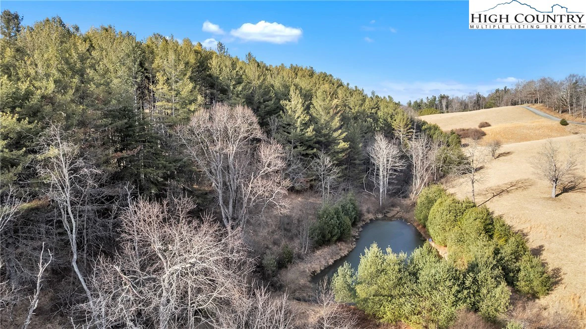 Image number 12 for the current listing