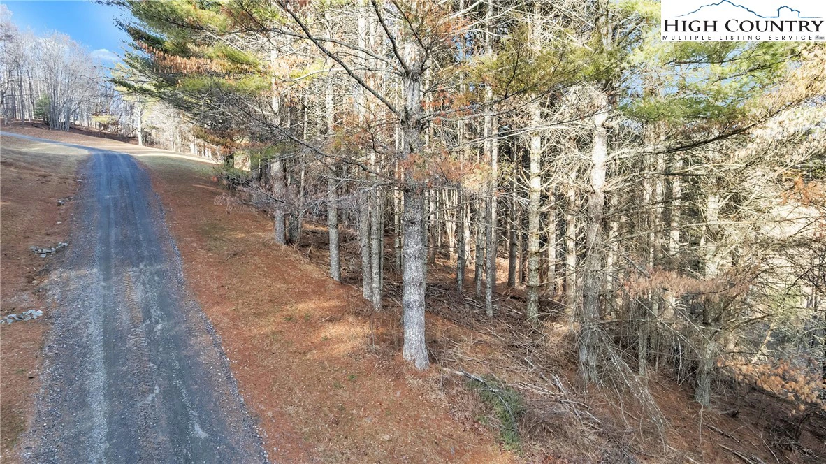 Image number 9 for the current listing