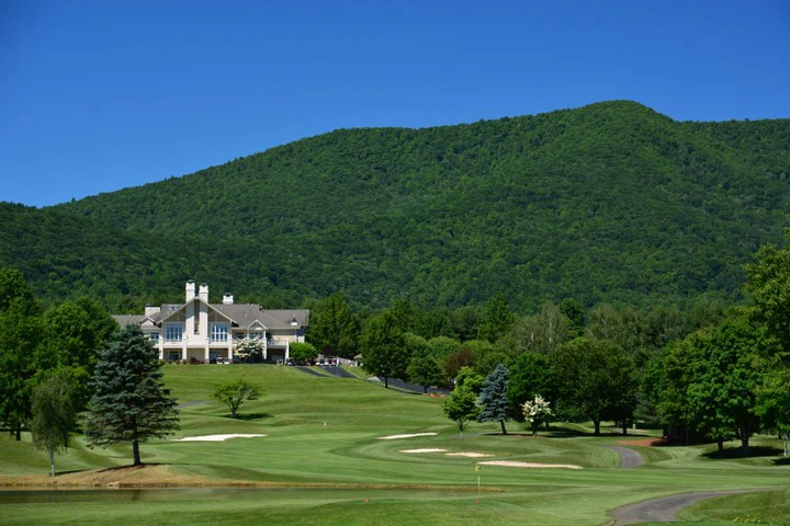 Image number 7 for the current listing